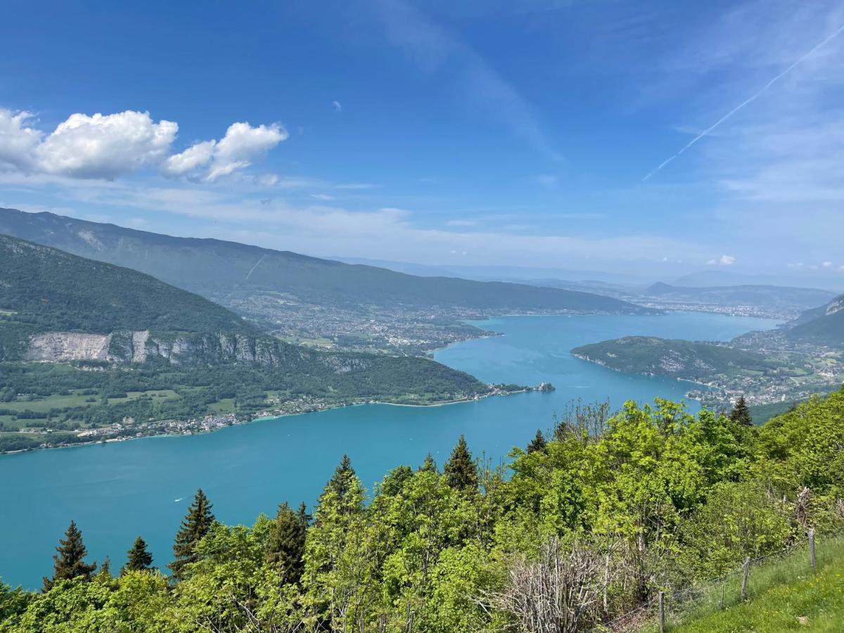 La Loge De Pierre Au Coeur De La Vieille Ville D 阿讷西 外观 照片