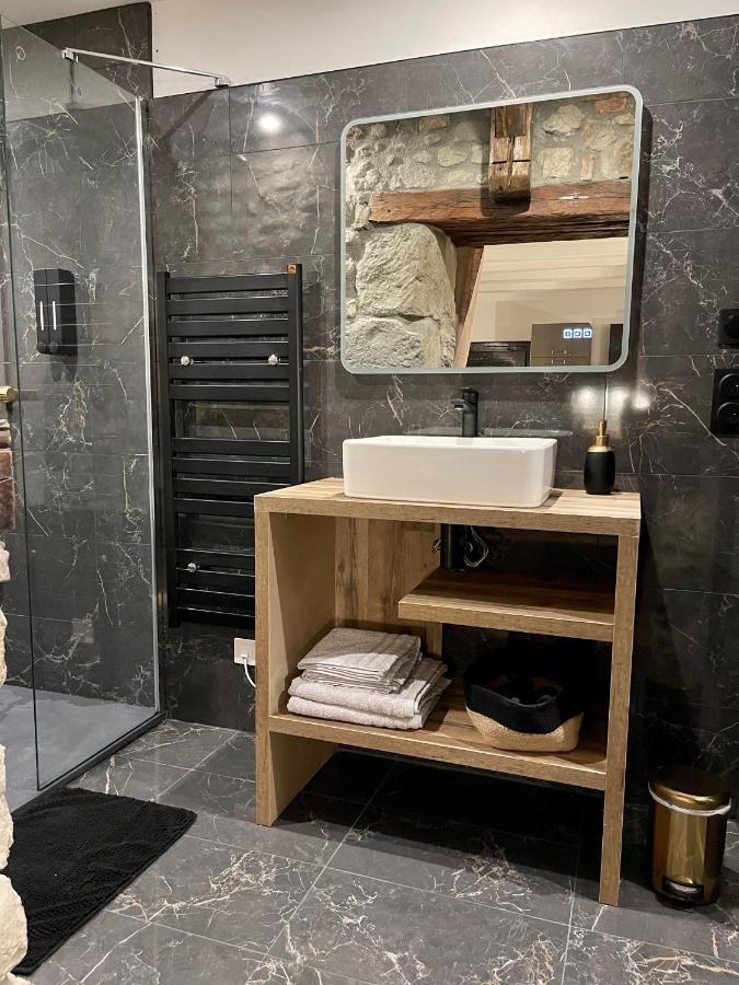 La Loge De Pierre Au Coeur De La Vieille Ville D 阿讷西 外观 照片